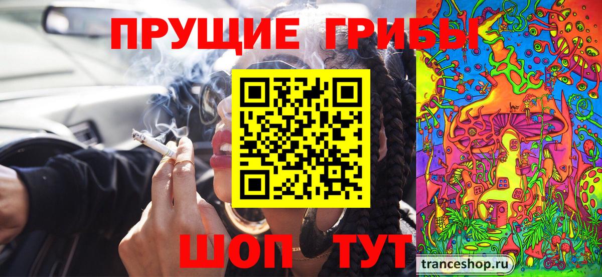 Касимов  Псилоцибиновые грибы MAGIC MUSHROOMS  Псилоцибиновые грибы Magic Shrooms  Вход с VPN 
