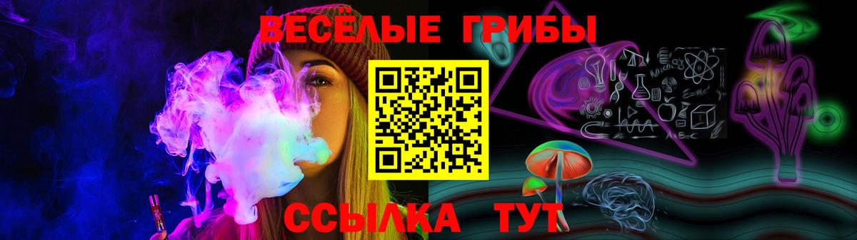 Галлюциногенные грибы Cubensis Касимов